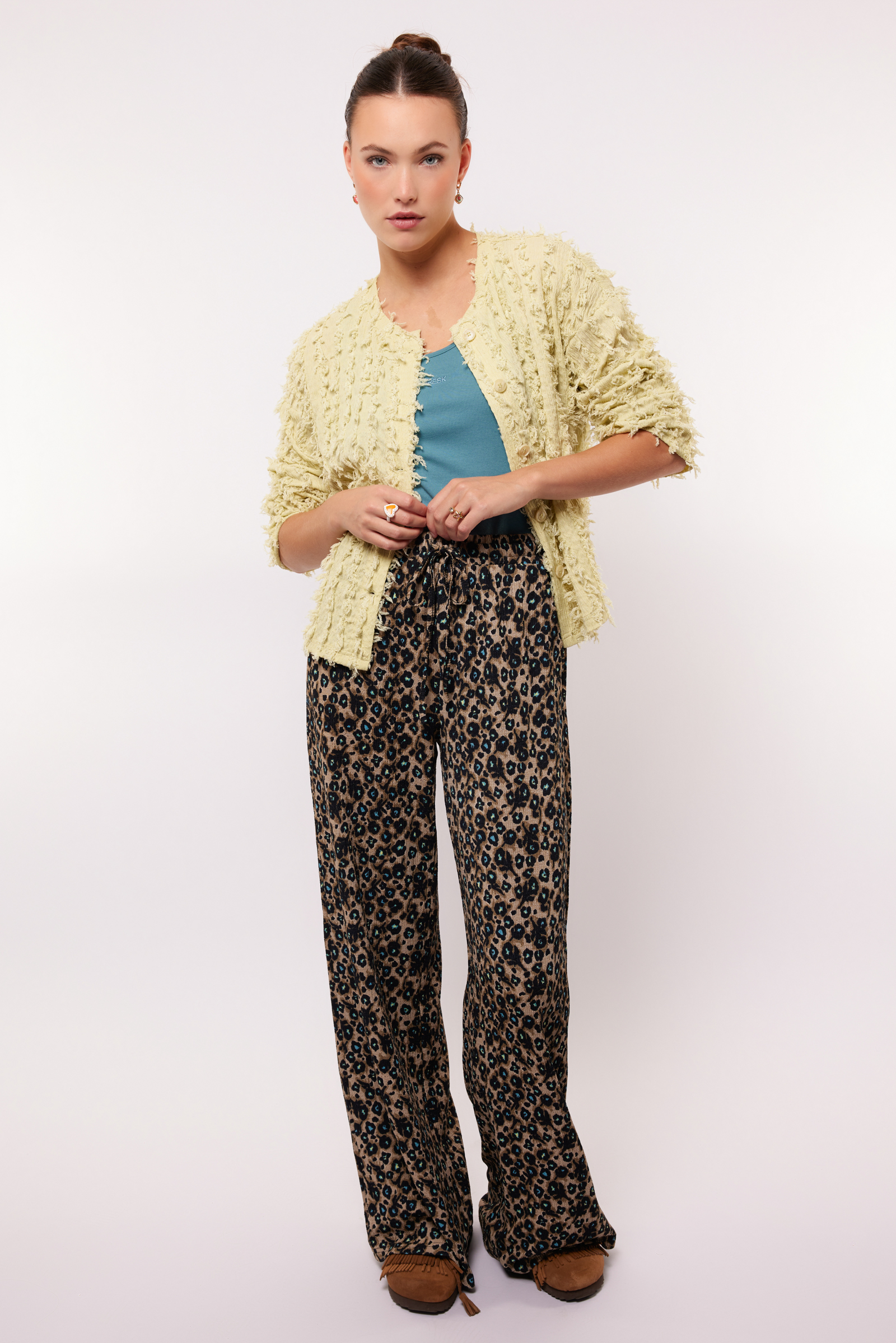 Aster Broek
