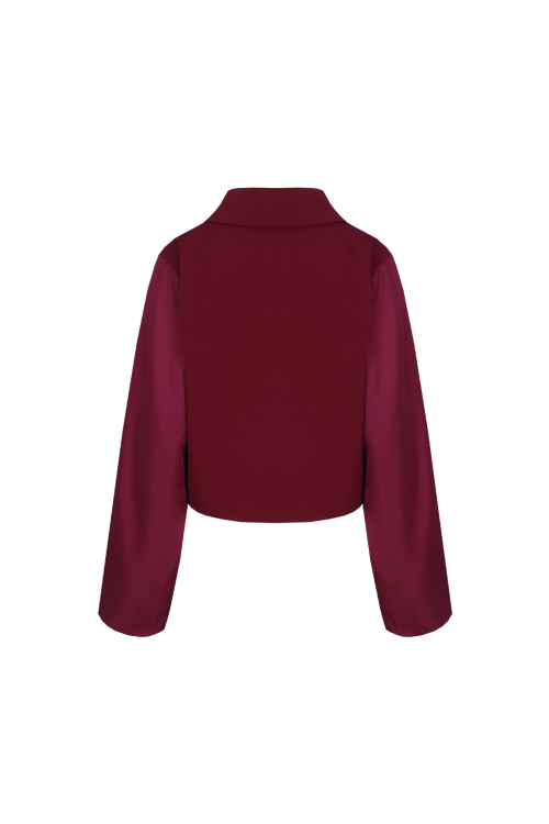 Dane blazer - Afbeelding 2