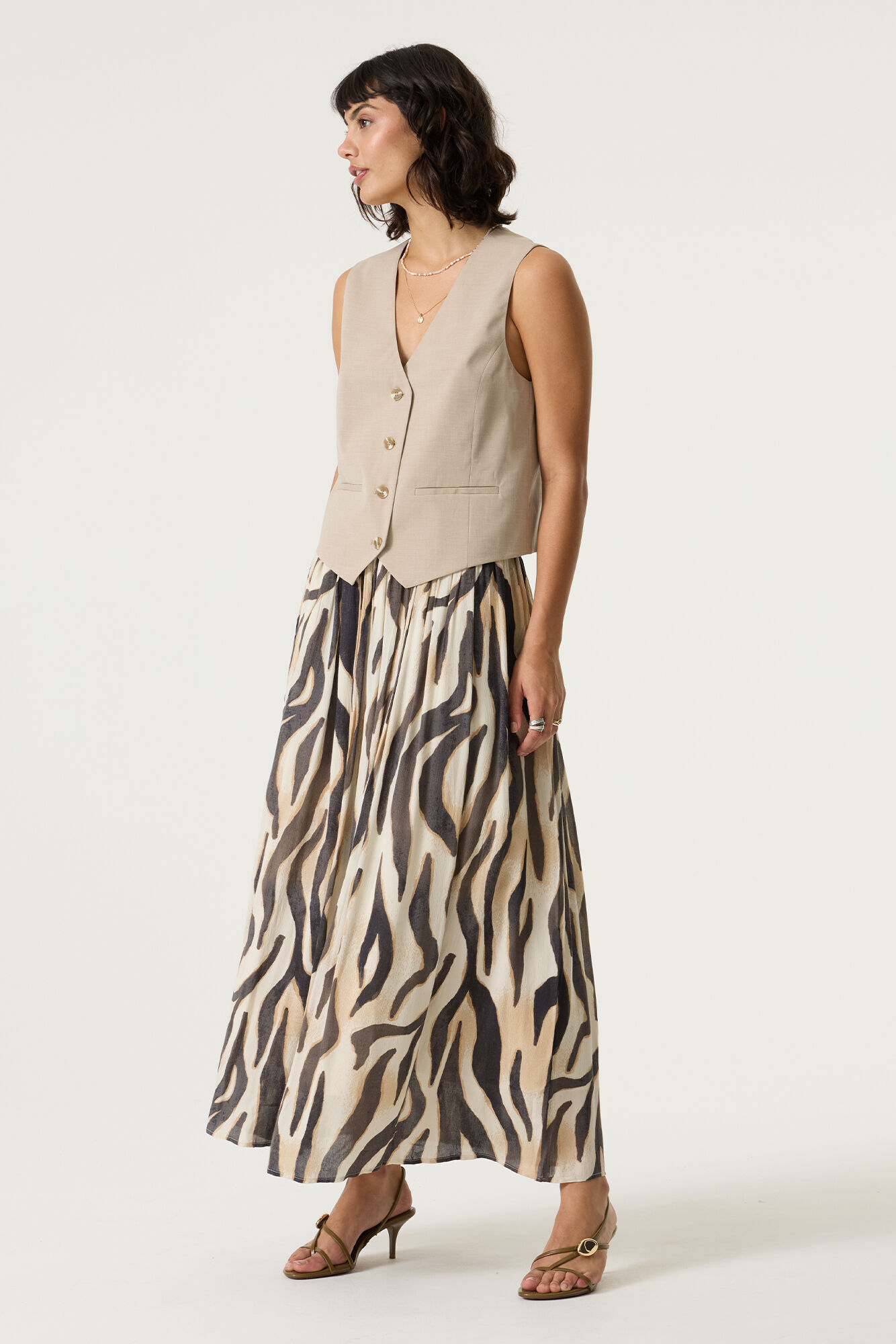 Zebra Rok